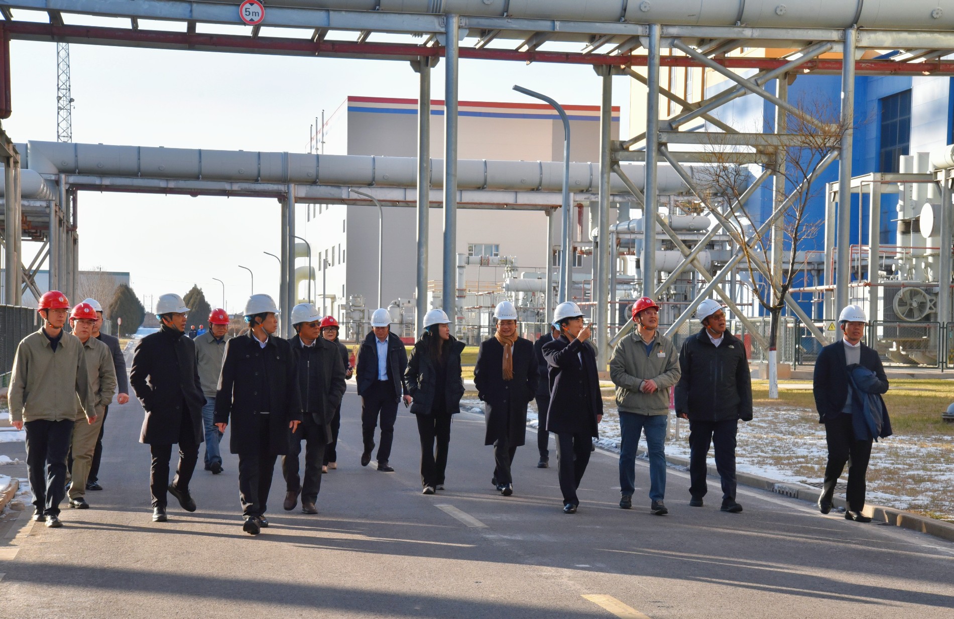 Weixin Image_20260109095246_副本.jpg